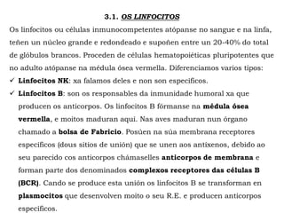 3.1. OS LINFOCITOS
Os linfocitos ou células inmunocompetentes atópanse no sangue e na linfa,
teñen un núcleo grande e redondeado e supoñen entre un 20-40% do total
de glóbulos brancos. Proceden de células hematopoiéticas pluripotentes que
no adulto atópanse na médula ósea vermella. Diferenciamos varios tipos:
 Linfocitos NK: xa falamos deles e non son específicos.
 Linfocitos B: son os responsables da inmunidade humoral xa que
producen os anticorpos. Os linfocitos B fórmanse na médula ósea
vermella, e moitos maduran aquí. Nas aves maduran nun órgano
chamado a bolsa de Fabricio. Posúen na súa membrana receptores
específicos (dous sitios de unión) que se unen aos antíxenos, debido ao
seu parecido cos anticorpos chámaselles anticorpos de membrana e
forman parte dos denominados complexos receptores das células B
(BCR). Cando se produce esta unión os linfocitos B se transforman en
plasmocitos que desenvolven moito o seu R.E. e producen anticorpos
específicos.
 