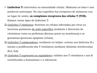  Linfocitos T: interveñen na inmunidade celular. Maduran no timo e non
producen anticorpos. Na súa superficie hai receptores de antíxenos cun
so lugar de unión, os complexos receptores das células T (TCR).
Existen varios tipos de linfocitos T:
 Linfocitos T citotóxicos: destrúen as células infectadas por virus ou
bacterias patóxenas de xeito específico mediante a liberación de
citotoxinas como as perforinas (forman poros na membrana) e as
granzimas (provocan apoptose celular).
 Linfocitos T colaboradores: auxiliares ou helper: activan aos linfocitos B e
inician a proliferación dos T citotóxicos mediante distintas interleucinas
(IL2, IL6).
 Linfocitos T supresores ou reguladores: inhiben aos T citotóxicos e aos B
contribuindo a homeostase e a tolerancia.
 