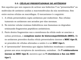 3.3. CÉLULAS PRESENTADORAS DE ANTÍXENOS
Son aquelas que son capaces de activar aos linfocitos T ao “presentarlles” as
moléculas de antíxeno unidas a macromoléculas da súa membrana. Son
entre outras células os macrófagos. O mecanismo é o seguinte:
1. A célula presentadora capta antíxenos por endocitose. Nas células
tumorais os antíxenos son xerados por elas mesmas.
2. No interior celular enzimas hidrolíticos nos lisosomas os degradan
orixinando fragmentos peptídicos antixénicos.
3. Parte destes fragmentos van a membrana da célula onde se asocian a
unhas proteínas, o complexo maior de histocompatibilidade (MHC). Se
os antíxenos proceden dunha célula presentadora únense a MHC tipo II;
se proceden de células alteradas a unión é a un MHC tipo I.
4. A “presentación” determina que algúns linfocitos recoñezan o antíxeno
grazas aos seus receptores de membrana, uníndose . Os T colaboradores
únense ao MHC tipo II, mentres que os T citotóxicos o fan cos MHC
tipo I.
 
