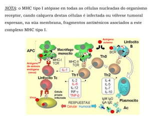 NOTA: o MHC tipo I atópase en todas as células nucleadas do organismo
receptor, cando calquera destas células é infectada ou vólvese tumoral
expresan, na súa membrana, fragmentos antixénicos asociados a este
complexo MHC tipo I.
 