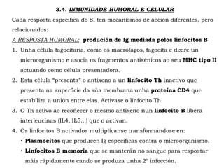3.4. INMUNIDADE HUMORAL E CELULAR
Cada resposta específica do SI ten mecanismos de acción diferentes, pero
relacionados:
A RESPOSTA HUMORAL: produción de Ig mediada polos linfocitos B
1. Unha célula fagocitaria, como os macrófagos, fagocita e dixire un
microorganismo e asocia os fragmentos antixénicos ao seu MHC tipo II
actuando como célula presentadora.
2. Esta célula “presenta” o antíxeno a un linfocito Th inactivo que
presenta na superficie da súa membrana unha proteína CD4 que
estabiliza a unión entre elas. Actívase o linfocito Th.
3. O Th activo ao recoñecer o mesmo antíxeno nun linfocito B libera
interleucinas (IL4, IL5...) que o activan.
4. Os linfocitos B activados multiplícanse transformándose en:
• Plasmocitos que producen Ig específicas contra o microorganismo.
• Linfocitos B memoria que se manterán no sangue para respostar
máis rápidamente cando se produza unha 2º infección.
 