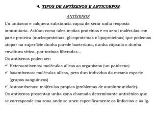4. TIPOS DE ANTÍXENOS E ANTICORPOS
ANTÍXENOS
Un antíxeno e calquera substancia capaz de xerar unha resposta
inmunitaria. Actúan como tales moitas proteínas e en xeral moléculas con
parte proteica (nucleoproteínas, glicoproteínas e lipoproteínas) que podemos
atopar na superficie dunha parede bacteriana, dunha cápsula o dunha
envoltura vírica, por toxinas liberadas...
Os antíxenos poden ser:
 Heteroantíxenos: moléculas alleas ao organismo (un patóxeno)
 Isoantíxenos: moléculas alleas, pero dun individuo da mesma especie
(grupos sanguíneos)
 Autoantíxenos: moléculas propias (problemas de autoinmunidade).
Os antíxenos presentan unha zona chamada determinante antixénico que
se corresponde coa zona onde se unen especificamente os linfocitos e ás Ig.
 