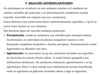 5. REACCIÓN ANTÍXENO-ANTICORPO
Os anticorpos ao recoñecer ao seu antíxeno únense a él mediante as
rexións variables do anticorpo e os determinantes antixénicos nunha
reacción reversible (os enlaces non son covalentes).
Como dixemos esta unión (reacción) é extremadamente específica, a Ig só se
unirá entre moitos ao seu antíxeno.
Hai distintos tipos de reacción antíxeno-anticorpo:
 Precipitación: cando os antíxenos son solubles (por exemplo toxinas
bacterianas), os anticorpos do plasma sanguíneo únense a eles
formando complexos insolubles e fannos precipitar. Posteriormente serán
fagocitados ou filtrados nos riles.
 Aglutinación: ao reaccionar as Ig con antíxenos situados na superficie
de bacterias ou outras células alleas. A unión forma agregados que
sedimentan facilmente. Os antíxenos chámanse aglutinóxenos e as Ig
aglutininas. Este é o que sucede nun rexeitamento nunha transfusión
onde se aglutinan os glóbulos vermellos alleos e logo se fagocitan.
 