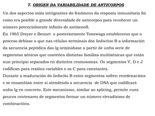 7. ORIGEN DA VARIABILIDADE DE ANTICORPOS
Un dos aspectos máis intrigrantes do fenómeno da resposta inmunitaria foi
como era posible a grande diversidade de anticorpos para recoñecer un
número potencialmente infinito de antíxenoS.
En 1965 Dreyer e Bennet e posteriormente Tonewaga estableceron que o
proceso debíase a que nas células xerminais dos linfocitos B a información
da secuencia peptídica das Ig orixinábase a partir de unha serie de
segmentos xénicos que conteñen distintas familias multixénicas que están
nun principio separados en distintos cromosomas. Os segmentos V, D e J
codifican para rexións variables e os C para constantes.
Durante a maduración do linfocito B estos segmentos sofren reordenacións
e se ensamblan entre sí atendendo a secuencia de DNA que codificará
unha Ig en concreto. Este mecanismo, similar ao splicing, permite cuns
poucos centenares de segmentos formar un número elevadísimo de
combinacións.
 