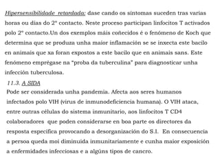 Hipersensibilidade retardada: dase cando os síntomas suceden tras varias
horas ou días do 2º contacto. Neste proceso participan linfocitos T activados
polo 2º contacto.Un dos exemplos máis coñecidos é o fenómeno de Koch que
determina que se produza unha maior inflamación se se inxecta este bacilo
en animais que xa foran expostos a este bacilo que en animais sans. Este
fenómeno emprégase na “proba da tuberculina” para diagnosticar unha
infección tuberculosa.
11.3. A SIDA
Pode ser considerada unha pandemia. Afecta aos seres humanos
infectados polo VIH (virus de inmunodeficiencia humana). O VIH ataca,
entre outras células do sistema inmunitario, aos linfocitos T CD4
colaboradores que poden considerarse en boa parte os directores da
resposta específica provocando a desorganización do S.I. En consecuencia
a persoa queda moi diminuida inmunitariamente e cunha maior exposición
a enfermidades infecciosas e a algúns tipos de cancro.
 
