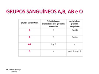 GRUPOS SANGUÍNEOS A,B, AB e O
GRUPOS SANGUÍNEOS
Aglutinóxenos
membrana dos glóbulos
vermellos
Aglutininas
plasma
sanguíneo
A A Anti B
B B Anti A
AB A y B -
O - Anti A, Anti B
I.E.S. Otero Pedrayo.
Ourense
 
