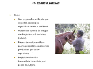  Soros
 Son preparados artificiais que
conteñen anticorpos
específicos contra o patóxeno.
 Obtéñense a partir do sangue
dunha persoa o dun animal
(cabalo).
 Proporcionan inmunidade
pasiva ao recibir os anticorpos
producidos por outro
organismo.
 Proporcionan unha
inmunidade inmediata pero
pouco duradeira.
13. SOROS E VACINAS
 
