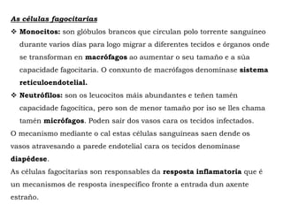 As células fagocitarias
 Monocitos: son glóbulos brancos que circulan polo torrente sanguíneo
durante varios días para logo migrar a diferentes tecidos e órganos onde
se transforman en macrófagos ao aumentar o seu tamaño e a súa
capacidade fagocitaria. O conxunto de macrófagos denomínase sistema
reticuloendotelial.
 Neutrófilos: son os leucocitos máis abundantes e teñen tamén
capacidade fagocítica, pero son de menor tamaño por iso se lles chama
tamén micrófagos. Poden saír dos vasos cara os tecidos infectados.
O mecanismo mediante o cal estas células sanguíneas saen dende os
vasos atravesando a parede endotelial cara os tecidos denomínase
diapédese.
As células fagocitarias son responsables da resposta inflamatoria que é
un mecanismos de resposta inespecífico fronte a entrada dun axente
estraño.
 