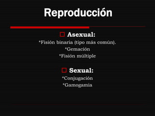 Reproducción
         Asexual:
*Fisión binaria (tipo más común).
            *Gemación
         *Fisión múltiple


          Sexual:
         *Conjugación
         *Gamogamia
 