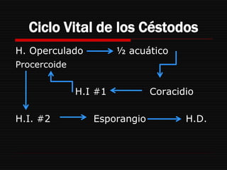 Ciclo Vital de los Céstodos
H. Operculado          ½ acuático
Procercoide


              H.I #1          Coracidio

H.I. #2          Esporangio          H.D.
 