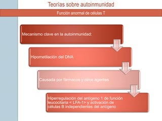 Teorías sobre autoinmunidad
                 Función anormal de células T



Mecanismo clave en la autoinmunidad:




    Hipometilación del DNA




        Causada por fármacos y otros agentes



             Hiperregulación del antígeno 1 de función
             leucocitaria < LFA-1> y activación de
             células B independientes del antígeno
 