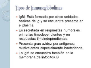 Tipos de
Inmunoglobulinas
 IgM: Está formada por cinco unidades
  básicas de Ig y se encuentra presente en
  el plasma.
 Es secretada en respuestas humorales
  primarias timodependientes y en
  respuestas timoindependientes.
 Presenta gran avidez por antígenos
  multivalentes especialmente bacterianos.
 La IgM se encuentra también en la
  membrana de linfocitos B
 