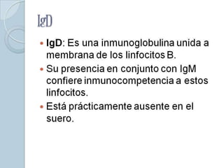 IgD
 IgD: Es una inmunoglobulina unida a
  membrana de los linfocitos B.
 Su presencia en conjunto con IgM
  confiere inmunocompetencia a estos
  linfocitos.
 Está prácticamente ausente en el
  suero.
 