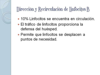 Dirección y Recirculación
de Linfocitos B
 10% Linfocitos se encuentra en circulación.
 El tráfico de linfocitos proporciona la
  defensa del huésped.
 Permite que linfocitos se desplacen a
  puntos de necesidad.
 