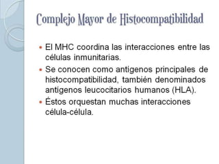 Complejo Mayor de
Histocompatibilidad
 El MHC coordina las interacciones entre las
  células inmunitarias.
 Se conocen como antígenos principales de
  histocompatibilidad, también denominados
  antígenos leucocitarios humanos (HLA).
 Éstos orquestan muchas interacciones
  célula-célula.
 