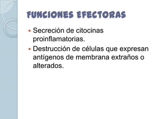 Funciones Efectoras
 Secreción de citocinas
  proinflamatorias.
 Destrucción de células que expresan
  antígenos de membrana extraños o
  alterados.
 