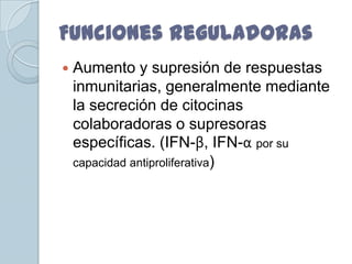 Funciones Reguladoras
   Aumento y supresión de respuestas
    inmunitarias, generalmente mediante
    la secreción de citocinas
    colaboradoras o supresoras
    específicas. (IFN-β, IFN-α por su
    capacidad antiproliferativa)
 
