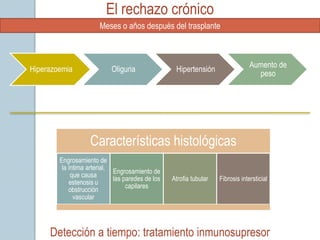 El rechazo crónico
                       Meses o años después del trasplante



                                                                                 Aumento de
Hiperazoemia                Oliguria               Hipertensión
                                                                                   peso




                   Características histológicas
        Engrosamiento de
         la íntima arterial,
                             Engrosamiento de
             que causa
                             las paredes de los   Atrofia tubular   Fibrosis intersticial
            estenosis u
                                  capilares
            obstrucción
              vascular




     Detección a tiempo: tratamiento inmunosupresor
 