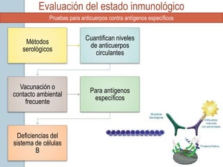 Evaluación del estado inmunológico
             Pruebas para anticuerpos contra antígenos específicos


                            Cuantifican niveles
    Métodos
                             de anticuerpos
   serológicos
                               circulantes



  Vacunación o
                              Para antígenos
contacto ambiental
                               específicos
    frecuente



  Deficiencias del
sistema de células
         B
 
