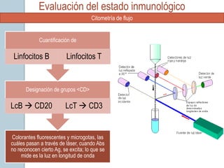 Evaluación del estado inmunológico
                                     Citometría de flujo


             Cuantificación de

 Linfocitos B             Linfocitos T


       Designación de grupos <CD>

LcB  CD20               LcT  CD3


Colorantes fluorescentes y microgotas, las
cuáles pasan a través de láser, cuando Abs
no reconocen cierto Ag, se excita; lo que se
     mide es la luz en longitud de onda
 