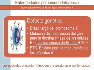 Enfermedades por inmunodeficiencia
             Agammaglobulinemia de Bruton ligada al cromosoma X




                   Defecto genético
                   • Brazo largo del cromosoma X
                   • Mutación de inactivación del gen
                     para la tirosina cinasa de las células
                     B < tirosina cinasa de Bruton BTK >
                   • BTK. Enzima para la maduración de
                     los linfocitos B

Los pacientes presentan infecciones respiratorias o asintomáticos
 