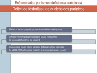 Enfermedades por inmunodeficiencia combinada
    Déficit de fosforilasa de nucleósidos purínicos



Afecta a la enzima que participa para el metabolismo de las purinas


Defectos inmunológicos por escasez de células T circulantes,
Se conserva la función de las células B


Disgenesia de células madre, alteración de la expresión de moléculas
De MHC II, TCR defectuosos, mutación de enzimas asociadas a receptor
 