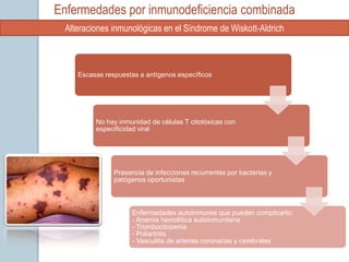 Enfermedades por inmunodeficiencia combinada
  Alteraciones inmunológicas en el Síndrome de Wiskott-Aldrich



     Escasas respuestas a antígenos específicos




          No hay inmunidad de células T citotóxicas con
          especificidad viral




                Presencia de infecciones recurrentes por bacterias y
                patógenos oportunistas



                      Enfermedades autoinmunes que pueden complicarlo:
                      - Anemia hemolítica autoinmunitaria
                      - Trombocitopenia
                      - Poliartritis
                      - Vasculitis de arterias coronarias y cerebrales
 