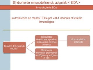 Síndrome de inmunodeficiencia adquirida < SIDA >
                             Inmunología del SIDA



       La destrucción de células T CD4 por VIH-1 inhabilita el sistema
                                inmunológico



                                  Respuestas
                             defectuosas a pruebas          Hipersensibilidad
                             cutáneas con diversos             retardada
                                   antígenos
Defectos de función de
      células T
                                  Alteración de
                            respuestas proliferativas
                            a mitógenos y antígenos
                                      in vitro
 