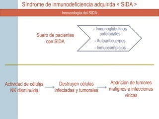 Síndrome de inmunodeficiencia adquirida < SIDA >
                            Inmunología del SIDA


                                             - Inmunoglobulinas
                Suero de pacientes                policlonales
                    con SIDA                  - Autoanticuerpos
                                              - Inmuocomplejos




Actividad de células       Destruyen células         Aparición de tumores
  NK disminuida         infectadas y tumorales       malignos e infecciones
                                                            víricas
 