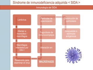 Síndrome de inmunodeficiencia adquirida < SIDA >
                     Inmunología del SIDA



                         Partículas de      Disminución de
    Lentivirus
                         opsonización         quimiotaxis



   Afectan a                                Respuestas a
                         Fagocitosis de
  monocitos /                                 estímulos
                       inmunocomplejos
  macrófagos                                 antigénicos


   Macrófagos
 infectados por          Alteración en:
     VIH-1



 Reservorio para
                       MACRÓFAGOS
diseminar el virus
 