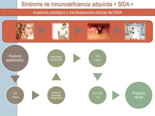 Síndrome de inmunodeficiencia adquirida < SIDA >
                  Anatomía patológica y manifestaciones clínicas del SIDA




  Paciente                  Infecciones                  CD4
asintomático                oportunistas               - 150u/L




     CD4                      Síntomas
                              generales
                                                      CD4 :CD8              Progreso
   - 500u/L                 inespecíficos               - 0.8                rápido
 
