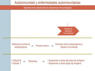 Autoinmunidad y enfermedades autoinmunitarias
              Aparece tras destruirse la tolerancia inmunológica




                                                          Pérdida de
                                                          tolerancia
                                                        inmunológica




Tolerancia normal de                           Contacto entre autoantígenos y
                          Proceso activo
   autoantígenos                                    células inmunitarias




• Células B       Tolerantes           • Exposición a dosis elevadas de antígeno
• Células T                            • Exposición a dosis bajas de antígeno
 