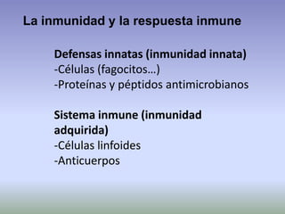 La inmunidad y la respuesta inmune
Defensas innatas (inmunidad innata)
-Células (fagocitos…)
-Proteínas y péptidos antimicrobianos
Sistema inmune (inmunidad
adquirida)
-Células linfoides
-Anticuerpos
 