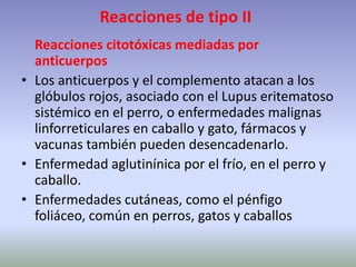 Reacciones de tipo II
Reacciones citotóxicas mediadas por
anticuerpos
• Los anticuerpos y el complemento atacan a los
glóbulos rojos, asociado con el Lupus eritematoso
sistémico en el perro, o enfermedades malignas
linforreticulares en caballo y gato, fármacos y
vacunas también pueden desencadenarlo.
• Enfermedad aglutinínica por el frío, en el perro y
caballo.
• Enfermedades cutáneas, como el pénfigo
foliáceo, común en perros, gatos y caballos
 