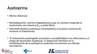 Azatioprina
• Efectos Adversos:
• Mielodepresión, anemia megaloblástica que no siempre responde al
tratamiento con vitamina B12 y ácido fólico.
• Toxicidad hepática (colestasis intrahepática) a las pocas semanas de
instaurar el tratamiento.
• El tratamiento prolongado aumenta la susceptibilidad a las infecciones y el
riesgo de desarrollar neoplasias. El alopurinol interfiere en la
metabilización de la azatioprina pudiendo incrementar sus efectos
secundarios.
 