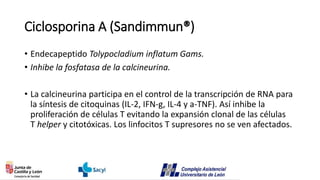 Ciclosporina A (Sandimmun®)
• Endecapeptido Tolypocladium inflatum Gams.
• Inhibe la fosfatasa de la calcineurina.
• La calcineurina participa en el control de la transcripción de RNA para
la síntesis de citoquinas (IL-2, IFN-g, IL-4 y a-TNF). Así inhibe la
proliferación de células T evitando la expansión clonal de las células
T helper y citotóxicas. Los linfocitos T supresores no se ven afectados.
 