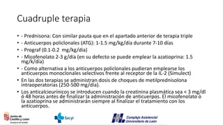 Cuadruple terapia
• - Prednisona: Con similar pauta que en el apartado anterior de terapia triple
• - Anticuerpos policlonales (ATG): 1-1.5 mg/kg/día durante 7-10 días
• - Prograf (0.1-0.2 mg/kg/día)
• - Micofenolato 2-3 g/día (en su defecto se puede emplear la azatioprina: 1.5
mg/k/día)
• - Como alternativa a los anticuerpos policlonales pudieran emplearse los
anticuerpos monoclonales selectivos frente al receptor de la IL-2 (Simulect)
• En las dos terapias se administran dosis de choques de metilprednisolona
intraoperatorias (250-500 mg/día).
• Los anticalcieurínicos se introducen cuando la creatinina plasmática sea < 3 mg/dl
ó 48 horas antes de finalizar la administración de anticuerpos. El micofenolato o
la azatioprina se administrarán siempre al finalizar el tratamiento con los
anticuerpos.
 