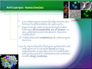 Anticuerpos monoclonales <ul><li>Los anticuerpos monoclonales tienen dos formas fundamentales de aplicación:  </li></ul><u...