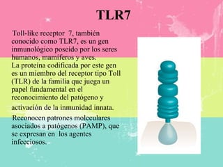TLR7 ,[object Object],[object Object]