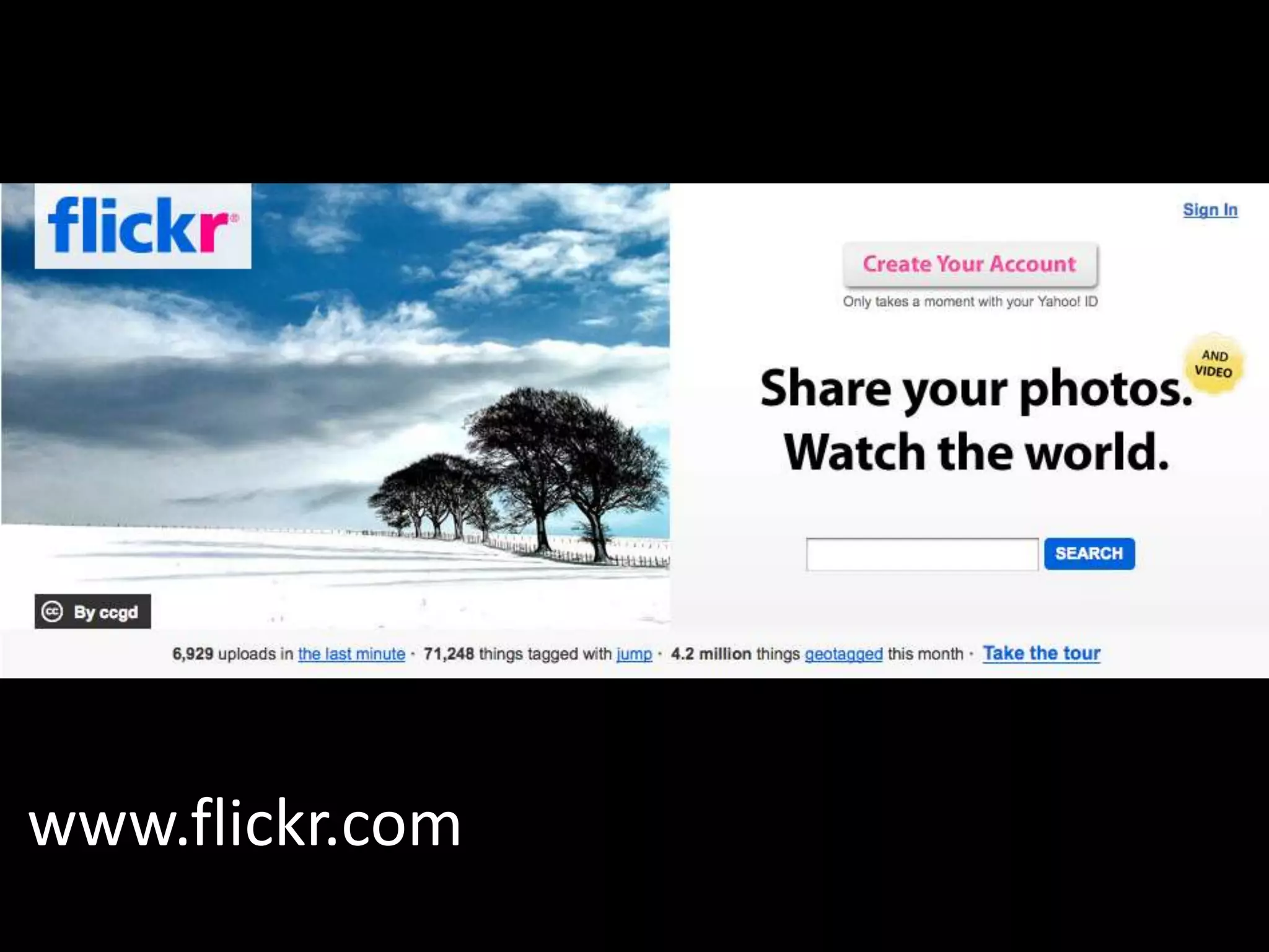 www.flickr.com