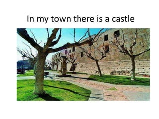 In my town there is a castle