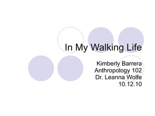 In My Walking Life Kimberly Barrera Anthropology 102 Dr. Leanna Wolfe 10.12.10 