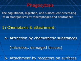PhagocytosisPhagocytosis
The engulfment, digestion, and subsequent processingThe engulfment, digestion, and subsequent processing
of microorganisms by macrophages and neutrophilsof microorganisms by macrophages and neutrophils
1) Chemotaxis & attachment:1) Chemotaxis & attachment:
a- Attraction by chemotactic substancesa- Attraction by chemotactic substances
(microbes, damaged tissues)(microbes, damaged tissues)
b- Attachment by receptors on surfacesb- Attachment by receptors on surfaces
 
