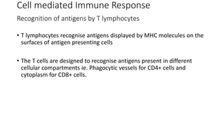 Innate and adaptive immunity | PPTX