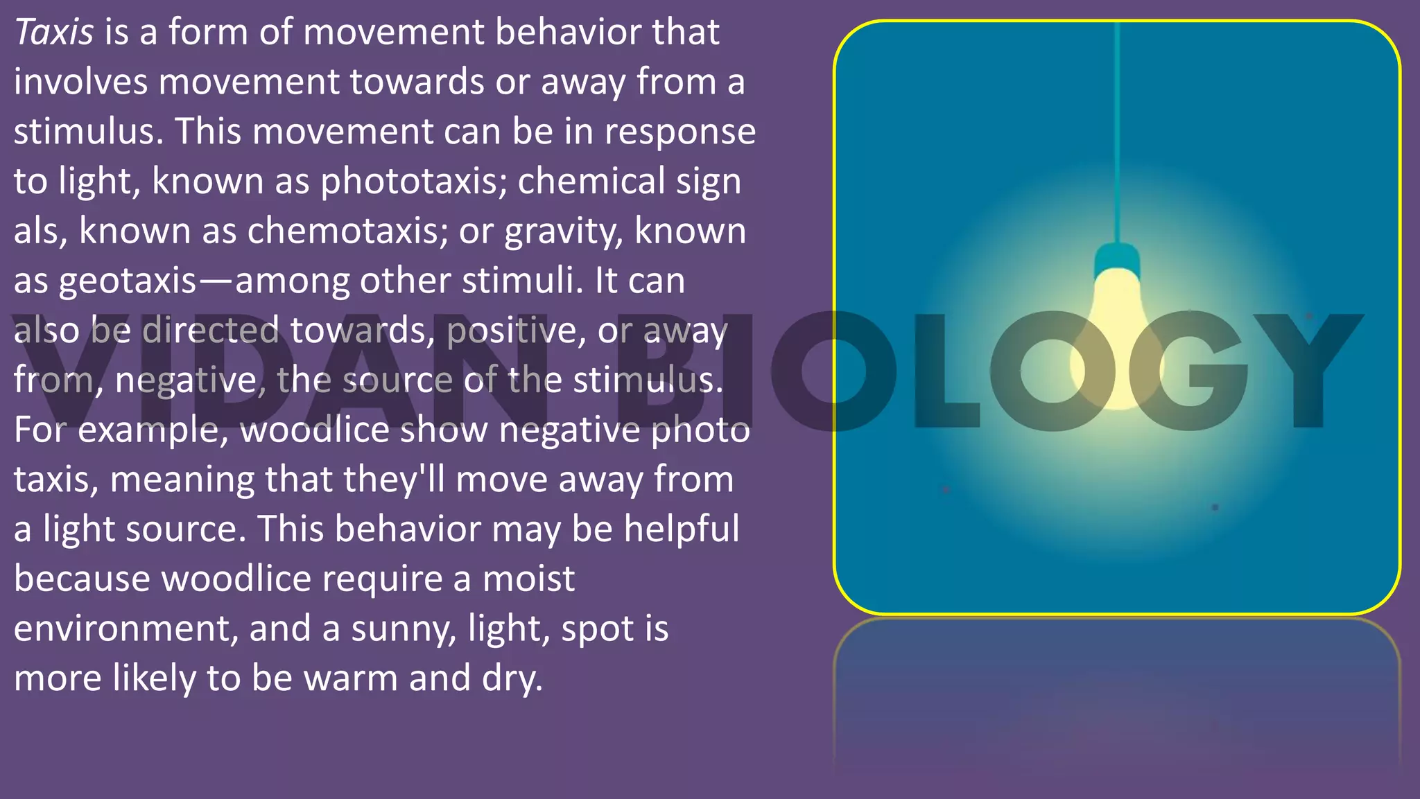 Innate Behavior (Animal Behavior) Taxis, Fixed Action Pattern, reflex