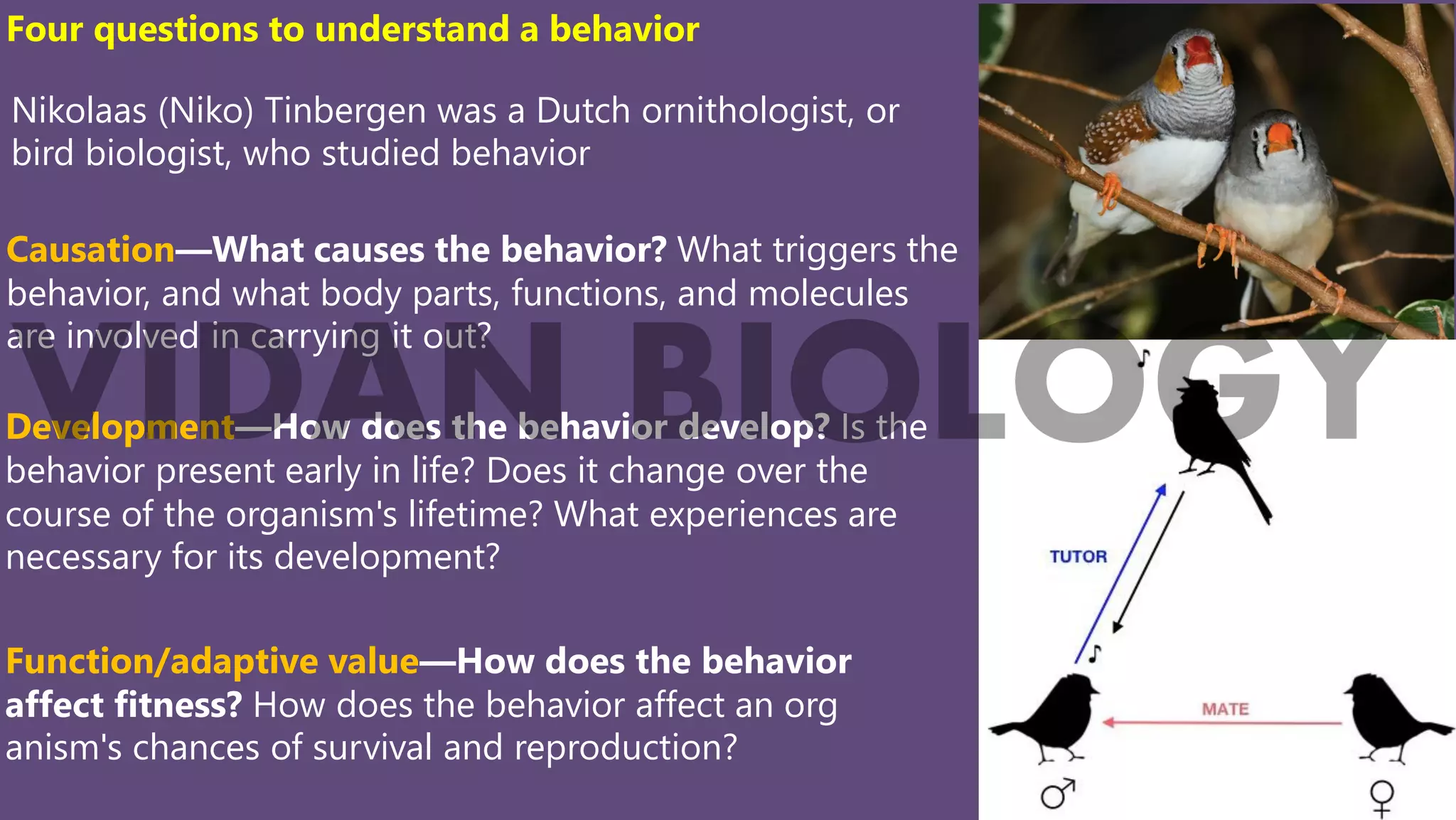 Innate Behavior (Animal Behavior) Taxis, Fixed Action Pattern, reflex