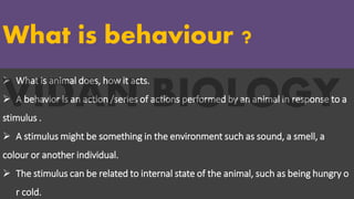 We would like to offer you a stylish and reasonable presentation
that will help you to promote your business
POWERPOINT
TEMPLATE
What is behaviour ?
➢ What is animal does, how it acts.
➢ A behavior is an action /series of actions performed by an animal in response to a
stimulus .
➢ A stimulus might be something in the environment such as sound, a smell, a
colour or another individual.
➢ The stimulus can be related to internal state of the animal, such as being hungry o
r cold.
 