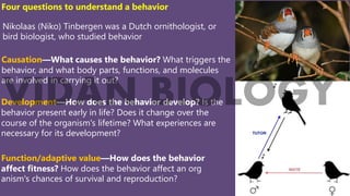 Innate Behavior (Animal Behavior) Taxis, Fixed Action Pattern, reflex ...