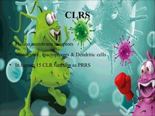 Innate Immunity Animation