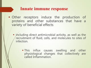 Innate immune response
 Other receptors induce the production of
proteins and other substances that have a
variety of beneficial effects
 including direct antimicrobial activity, as well as the
recruitment of fluid, cells, and molecules to sites of
infection.
 This influx causes swelling and other
physiological changes that collectively are
called Inflammation.
 